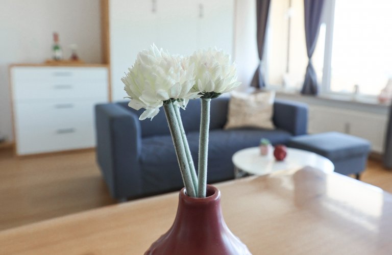 Ferienwohnung Apartment Pauleen 436
