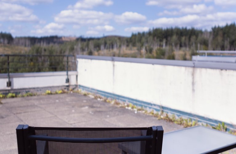 Ferienhaus Terrassenhaus im Harz mit Sauna, Pool & WLAN
