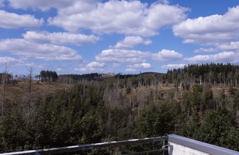 Ferienhaus Terrassenhaus im Harz mit Sauna, Pool & WLAN