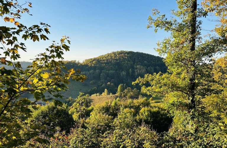 Ferienhaus Talblick 5