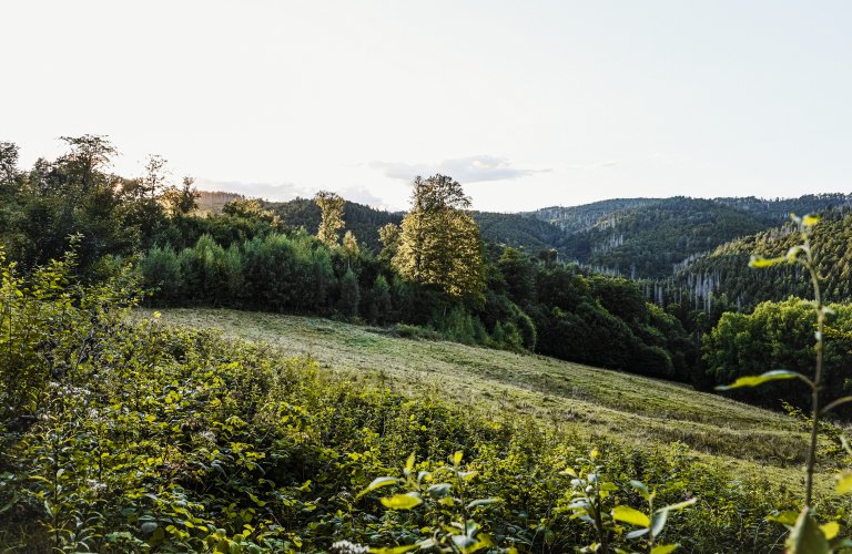 Ferienhaus Talblick 5