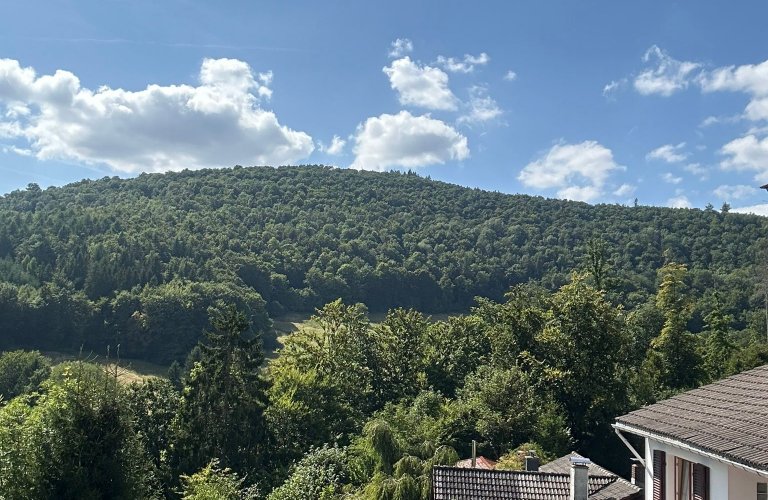 Ferienhaus Talblick 5