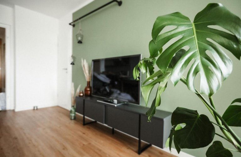 Superior Apartment 252