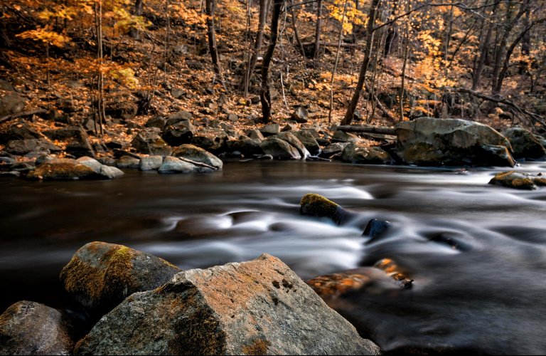 Ferienwohnung FitNest, im Harz, beim Ravensberg, mit Sauna