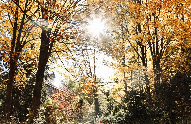 Ferienwohnung Ferienapartment Rorik