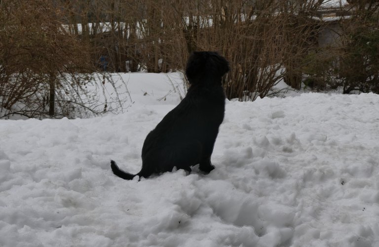 Ferienwohnung Haus Jörn, Ferienapartment Eule
