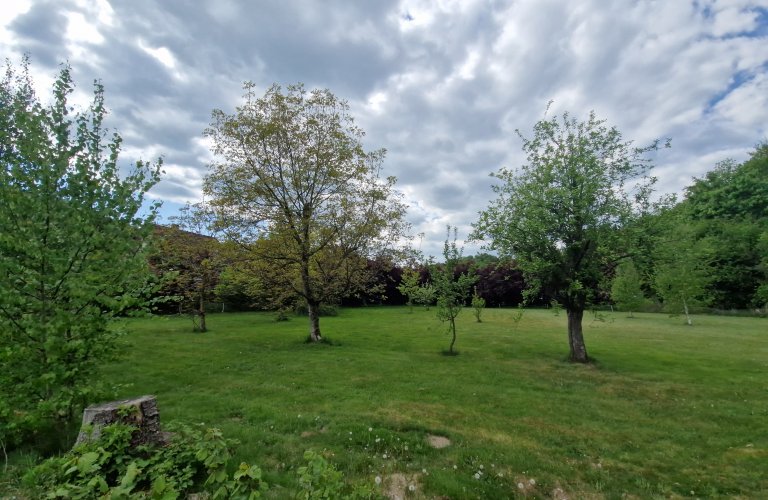 Ferienwohnung Haus Jörn, Ferienapartment Rothirsch
