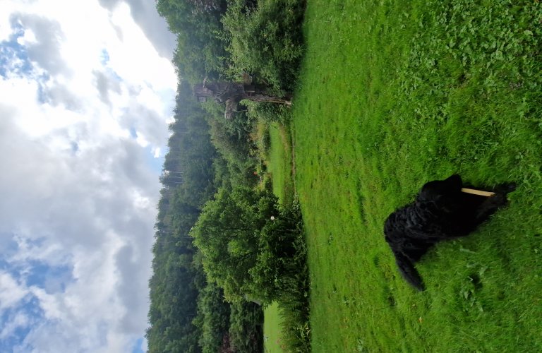 Ferienwohnung Haus Jörn, Ferienapartment Eichhörnchen