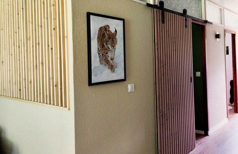 Ferienwohnung Haus Jörn, Ferienapartment Luchs