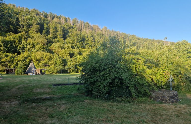 Ferienwohnung Haus Jörn, Ferienapartment Luchs