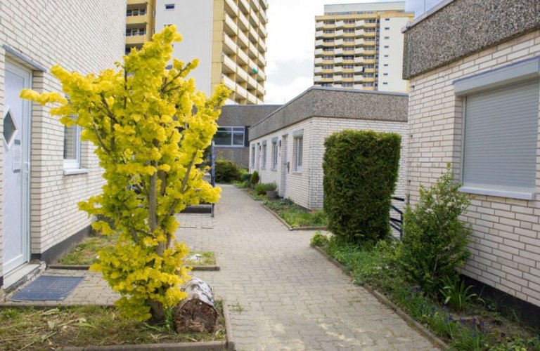 Ferienwohnung Sky Lodge Hohegeiß