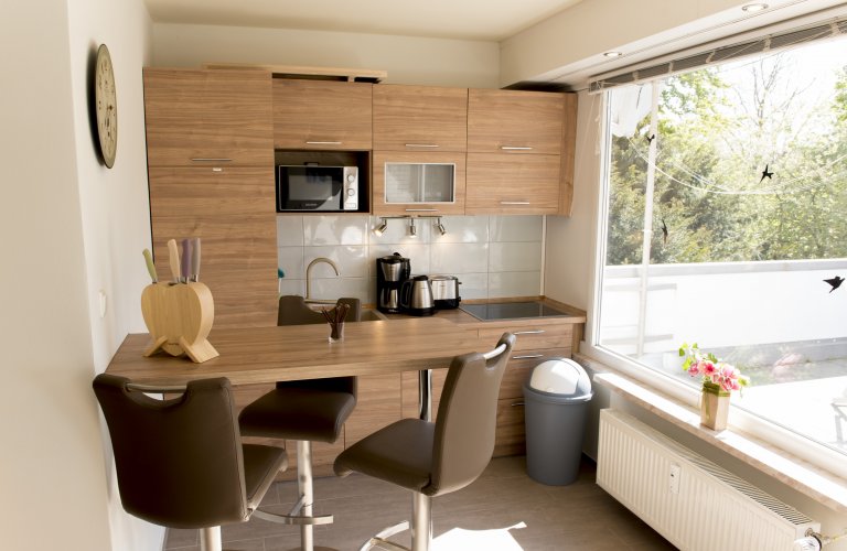 Ferienwohnung Sky Lodge Hohegeiß