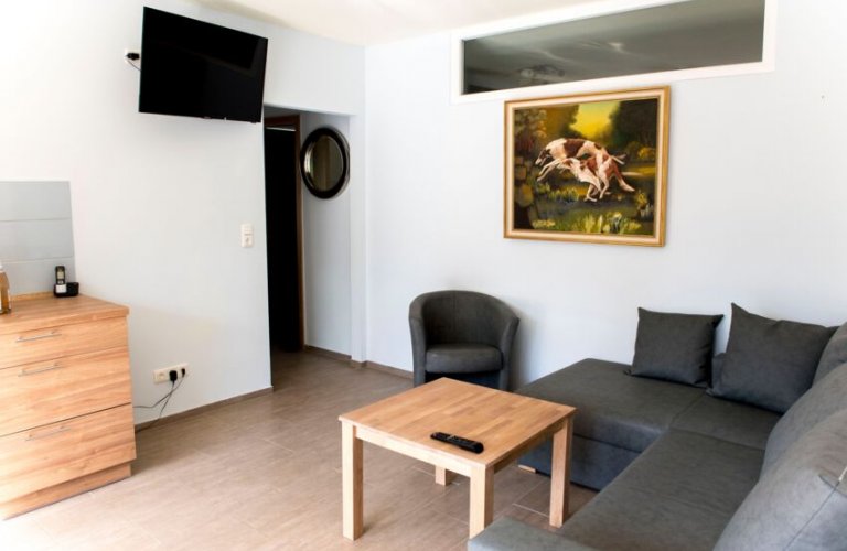 Ferienwohnung Sky Lodge Hohegeiß