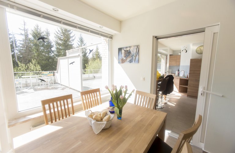 Ferienwohnung Waldruhe Terrassenhaus