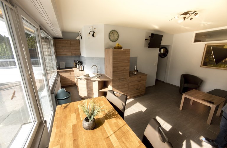 Ferienwohnung Himmelsterrassen Hohegeiß