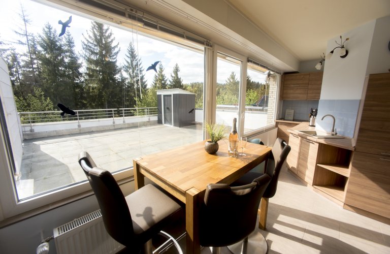 Ferienwohnung Himmelsterrassen Hohegeiß